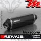 Silencieux Pot d'échappement ~ Triumph Tiger Explorer XCA 2016 ~ REMUS Hexacone