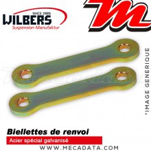 Kit Rabaissement ~ Kawasaki Ninja ZX-6 R ~ ( ZX636A/ B ) 2002-2004 ~ Wilbers - 40mm