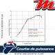 Silencieux Termignoni ~ BMW C 600 Sport 2012-2015 ~ (BW11080CM)