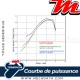 Silencieux Termignoni ~ HONDA SH 300i 2007-2016 ~ (H104080INR)