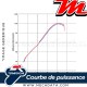 Silencieux Termignoni ~ SUZUKI GSR 750 2011-2016 ~ (S069080CV)