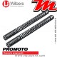 Ressorts de Fourche progressifs ~ Wilbers – Promoto ~ Benelli TNT 899 S () -2009