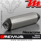 Silencieux Pot d'échappement ~ Triumph Tiger 800 2011-2014 ~ REMUS Hexacone