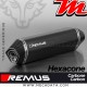 Silencieux Pot d'échappement ~ Triumph Tiger 800 XCA 2017+ ~ REMUS Hexacone