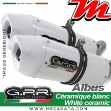 Silencieux Pot d'échappement ~ APRILIA RSV 1000 R - FACTORY 2004 - 2005 ~ GPR ALBUS