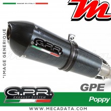 Silencieux Pot d'échappement ~ BMW S 1000 R 2014 - 2015 ~ GPR GPE EVO