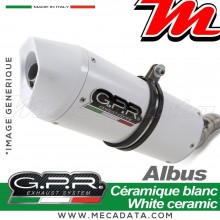 Silencieux Pot d'échappement ~ PIAGGIO X9 250 Evolution 2006 - 2007 ~ GPR ALBUS
