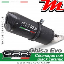 Silencieux Pot d'échappement ~ YAMAHA FZS 1000 FAZER 2001 - 2005 ~ GPR GHISA EVO