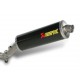 Echappement Akrapovic BMW R 1200 GS / ADVENTURE 04-09 SB12SO2LTC