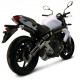 Ligne complète Termignoni ~ KAWASAKI ER 6 F / N 2012-2014 ~ (K072080IO)