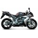 Silencieux Termignoni ~ YAMAHA YZF R1 2004-2006 ~ (Y061080TO)